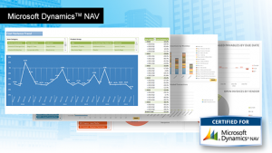 Jet Reports for NAV